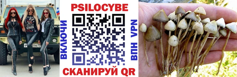 Галлюциногенные грибы мицелий  Всеволожск 
